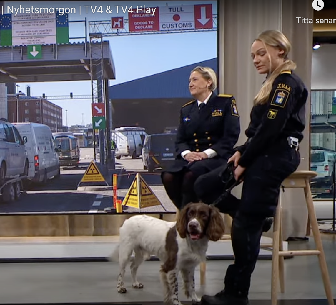 Skip, narkotikasökhund